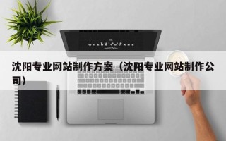 东莞沈阳专业网站制作方案（沈阳专业网站制作公司）